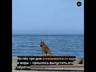 Порно видео: Интим ялта