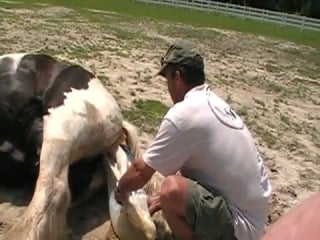 Шайр рожает