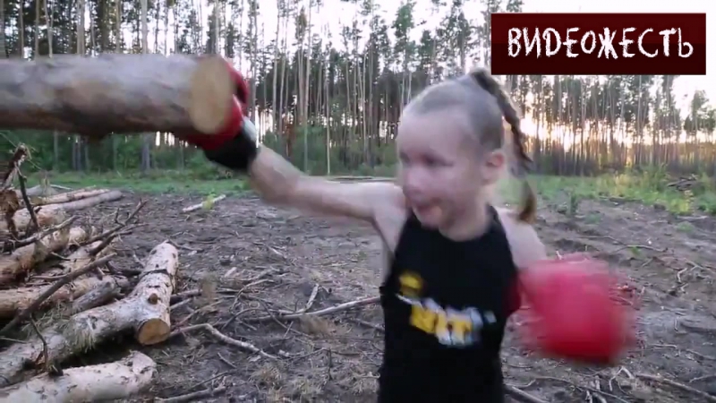 Пенёк вместо боксёрской груши