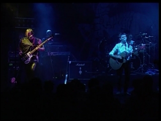 Pallas crown of thorns live in holland 2002