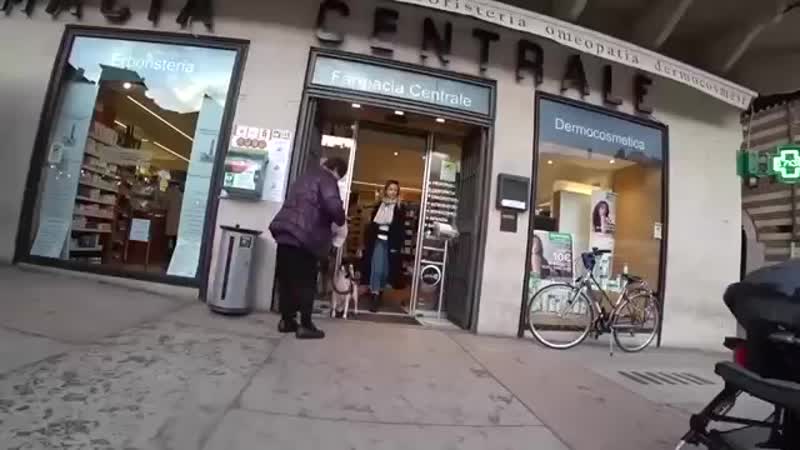 Плевок в морду кремлёвского пропагандиста анатолия шейнина 1 ( 360 x 360 ) mp4