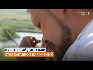 Кладбище динозавров нашли в кузбассе | сибирь реалии