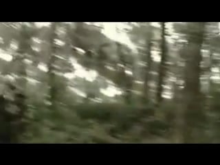 Пропавший взвод / the cross roads (2007)