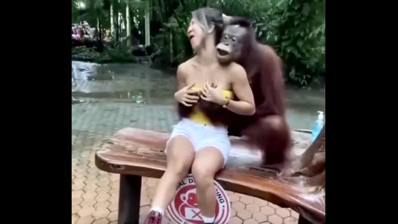 Секс девушка и обезьяна видио порно видео