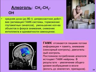 Мозг и молодые никотин и алкоголь вячеслав дубынин лекция 4