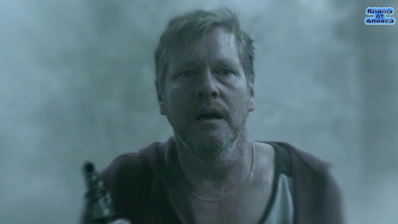 Ежик во мгле кадры из мультфильма ежик в тумане и сериала мгла