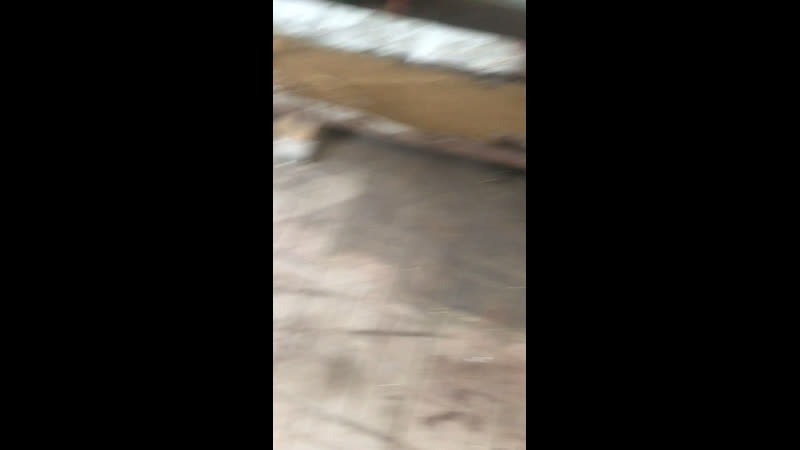 Промыа porn video – Промыа скважины в гараже