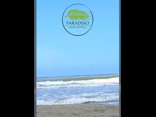 Surf a viareggio italy toscana mp4