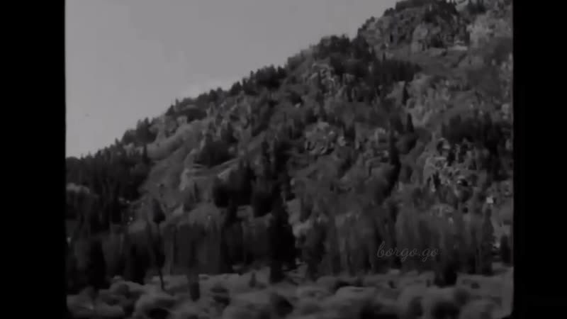 Barbara palvin and dylan sprouse photosession барбара палвин и дилан спроус ( 720 x 720 ) mp4