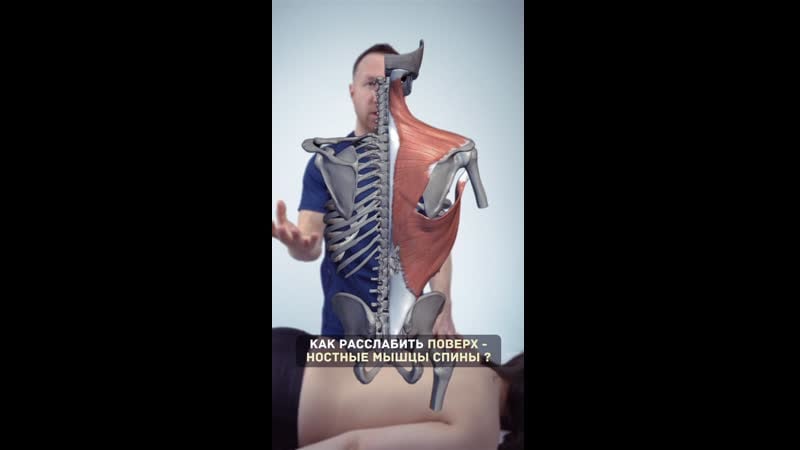Как расслабить поверхностные мышцы спины?
