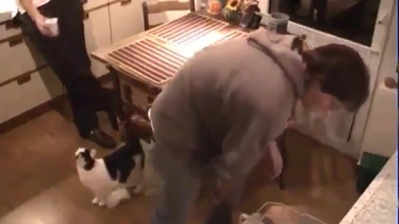 Годы попыток и терпения (огого видео)