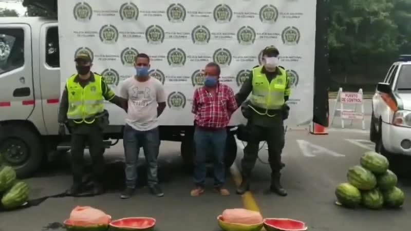 Новый сорт арбузов