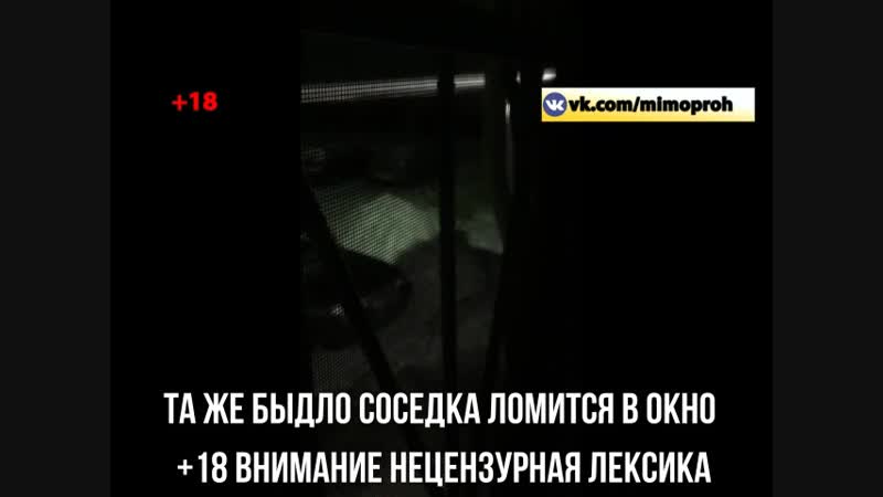 Быдло соседка +18 бьет дочь ломится в чужую квартиру оскорбляет ветерана вов