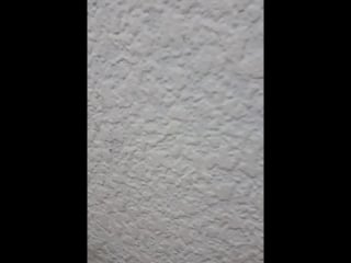 Тайга инфо live