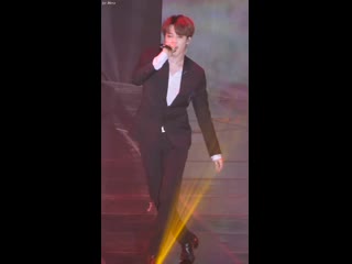 190811 bts fake love [lotte duty free family concert]