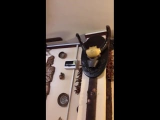 Transylvania with allan lavey hekatka mycomnia vanessa marka stefan d dario bathory andreas