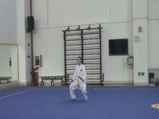 Compulsory yang chen style taijiquan taijijian new group taiji event sample