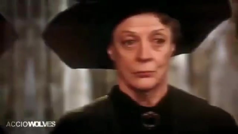 Severus snape &amp; minerva mcgonagall | harry potter vine