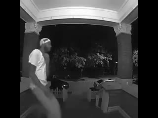 Баттл с насекомым (vhs video)