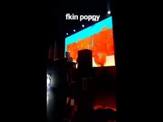 That poppy at 'brownies & lemonade'