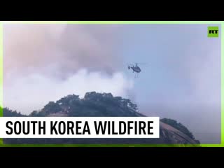 Seoul wildfire prompts evacuations