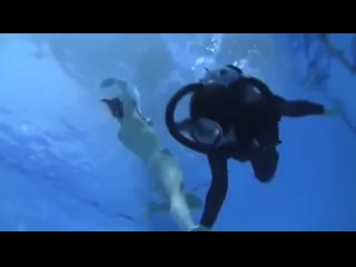 Scuba attak