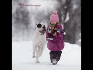 Winter flights with dogo argentino