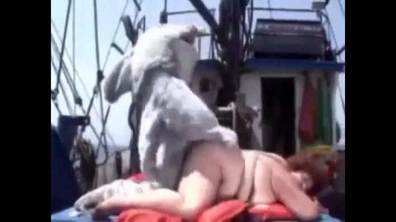Акулы porn video – Нападение белой акулы на человека! видео не для слабонервных