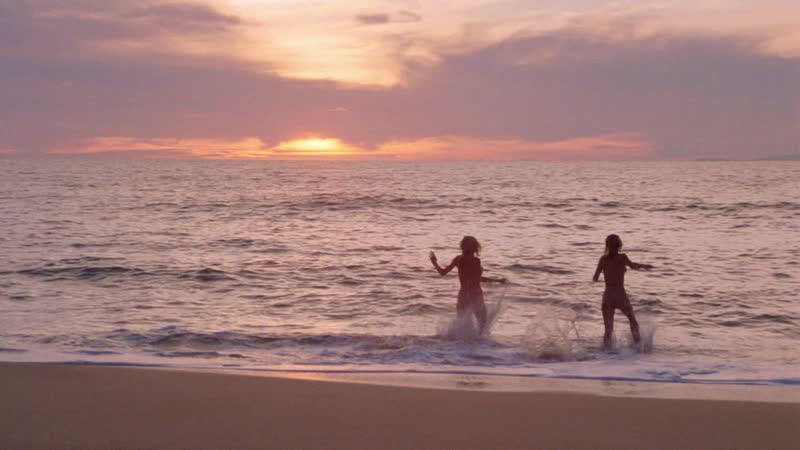 Teri weigel, patty duffek, dona speir, hope marie carlton and others дикий пляж / savage beach (1989) 720p