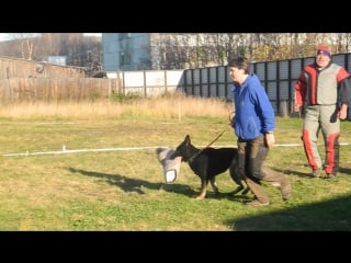 Афра(разминка)