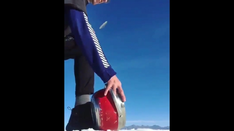 Красивая иллюстрация!