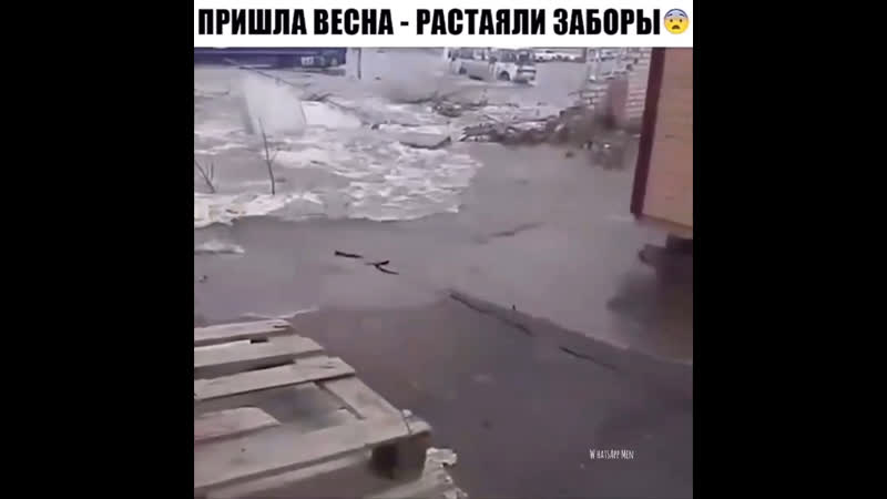 Пришла весна растаяли заборы