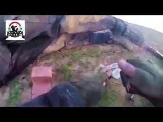 Isis militants killed in action