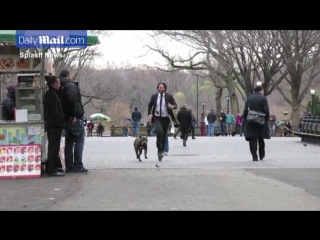 Keanu reeves looks bloodied and battered on the nyc set of john wick 2 as he runs with his dog