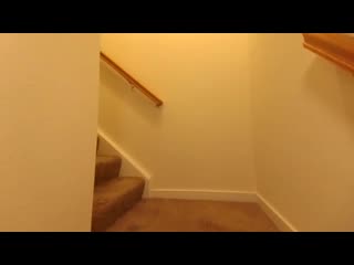 Cute affordable richmond va condos 1 3 bed