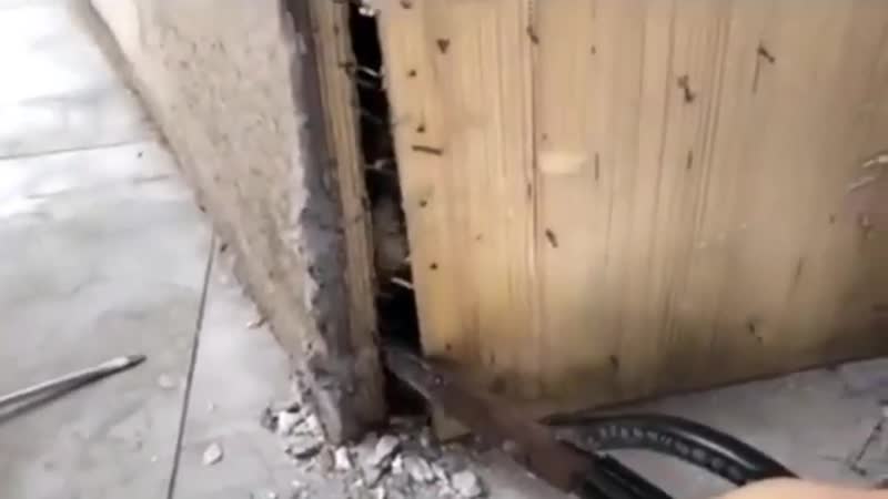 Мир ни без добрых людей