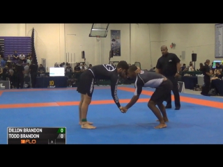 Dillon danis vs todd mueckenheim 2016 ibjjf #pannogi16 абсол