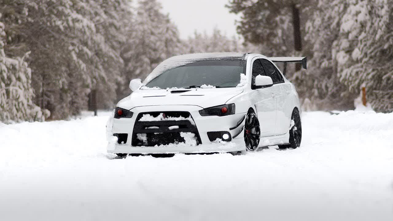 Snow bunny ¦ panda evo x