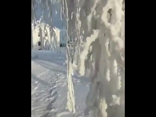 Настоящая лютая русская зима😁 🥶🥶🥶
