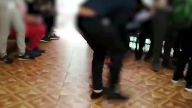 Агрессивная школьница из зеленограда избила ещё одного одноклассника