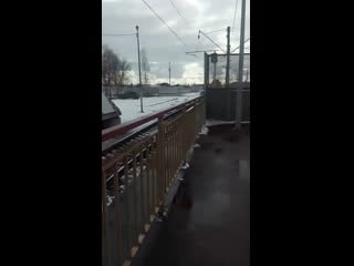 Trim 20200217 071115 mp4