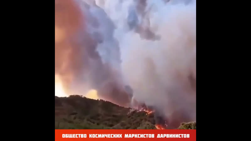 В эрдоганостане дымно курды дымят, по тв говорят