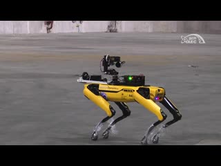 Робот boston dynamics на чаэс