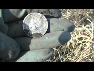 Нашла на поле одну монету стоимостью в несколько тысяч рублей