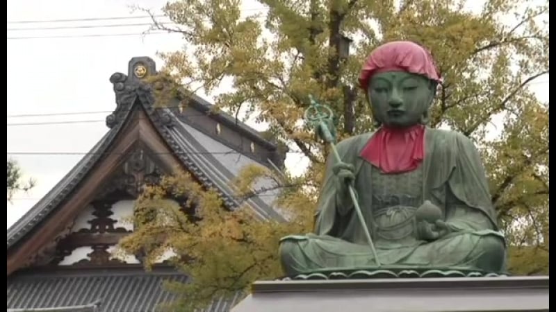 Япония край цветущей сакуры документальные фильмы кино онлайн золотой глобус japan