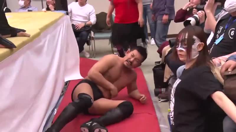 Ddt ganbare pro hermit purple 2020