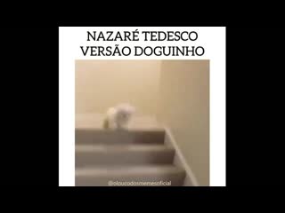 Nazaré tedesco versão cachorro