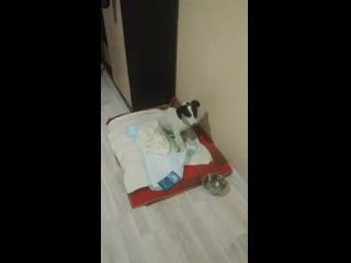 Vid 20201002 161831 mp4