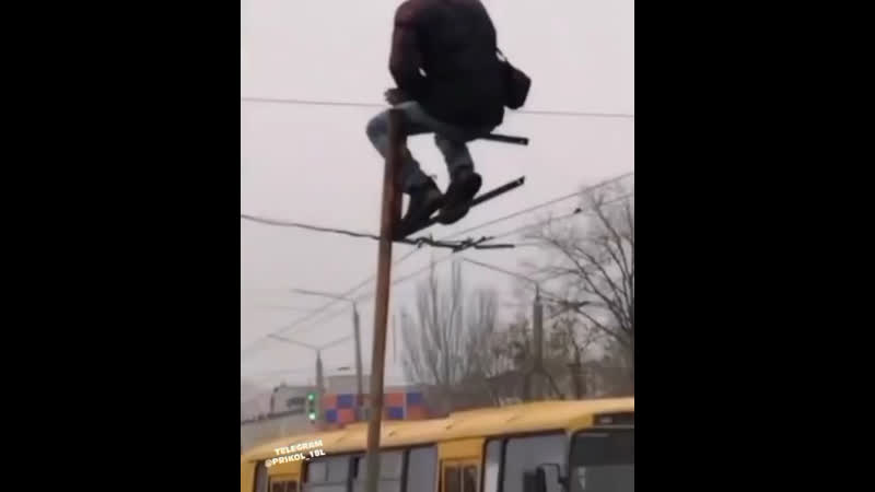 Высоко сижу далеко гляжу