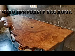 Такая столешница в ванной поражает своей красотой тёмный каповый карагач